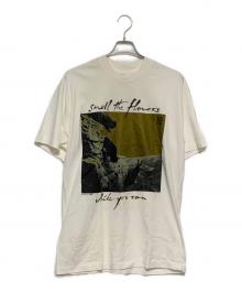 FRUIT OF THE LOOM（フルーツオブザルーム）の古着「Vintage Band Tシャツ」｜ホワイト×ブラウン