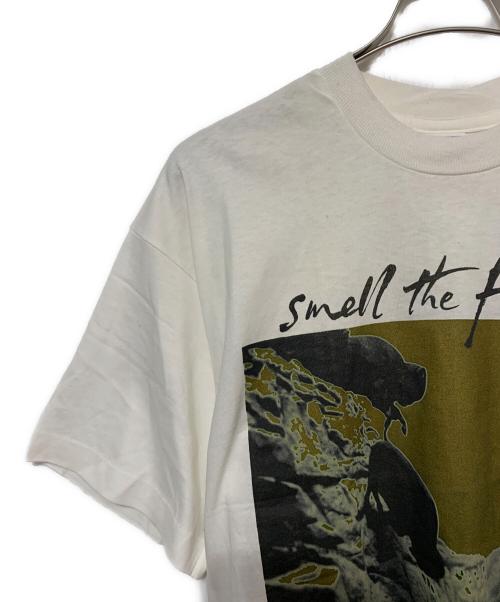 FRUIT OF THE LOOM（フルーツオブザルーム）FRUIT OF THE LOOM (フルーツオブザルーム) Vintage Band Tシャツ ホワイト×ブラウン サイズ:Lの古着・服飾アイテム