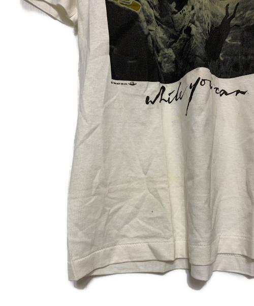 FRUIT OF THE LOOM（フルーツオブザルーム）FRUIT OF THE LOOM (フルーツオブザルーム) Vintage Band Tシャツ ホワイト×ブラウン サイズ:Lの古着・服飾アイテム