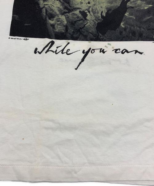 FRUIT OF THE LOOM（フルーツオブザルーム）FRUIT OF THE LOOM (フルーツオブザルーム) Vintage Band Tシャツ ホワイト×ブラウン サイズ:Lの古着・服飾アイテム