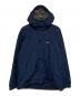 Patagonia（パタゴニア）の古着「インファーノジャケット」｜ブルー