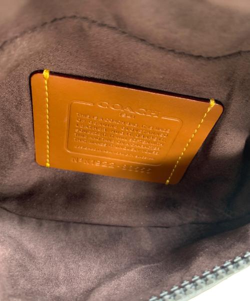 COACH（コーチ）COACH (コーチ) Livington Belt Bag 7 マルチカラーの古着・服飾アイテム