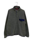 Patagoniaパタゴニア）の古着「シンチラスナップT」｜グレー