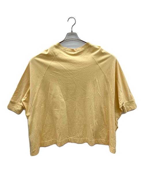 BEARDSLEY（ビアズリー）BEARDSLEY (ビアズリー) BIGラグランＴ イエロー サイズ:Fの古着・服飾アイテム