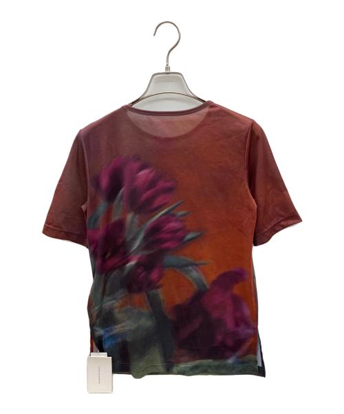 Ameri（アメリ）Ameri (アメリ) SHEER FLOWERBASE PRINT TOP ブラウン×パープル サイズ:FREEの古着・服飾アイテム