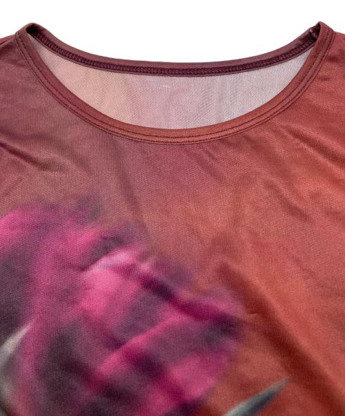 Ameri（アメリ）Ameri (アメリ) SHEER FLOWERBASE PRINT TOP ブラウン×パープル サイズ:FREEの古着・服飾アイテム