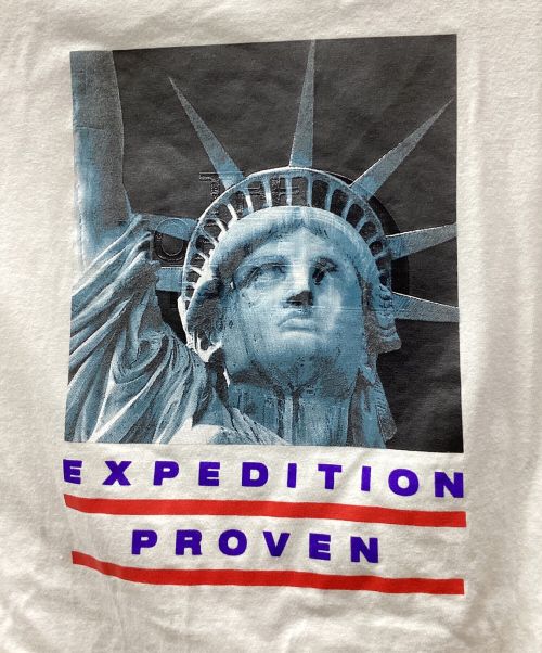 THE NORTH FACE（ザ ノース フェイス）THE NORTH FACE (ザ ノース フェイス) SUPREME (シュプリーム) Tシャツ ホワイト サイズ:USSの古着・服飾アイテム