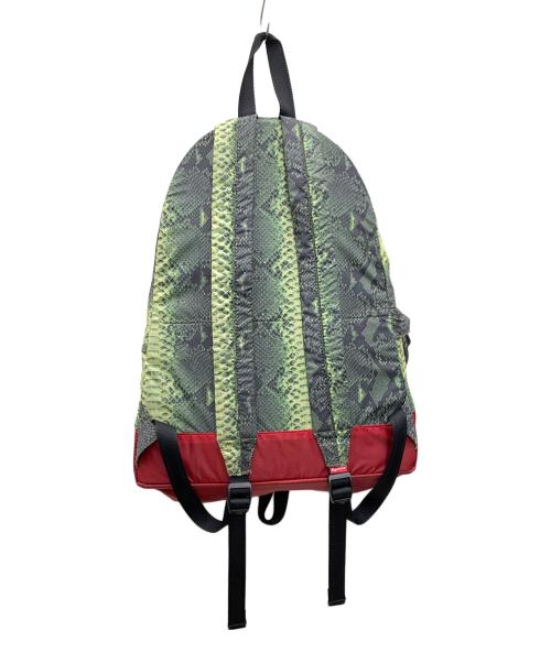 THE NORTH FACE（ザ ノース フェイス）THE NORTH FACE (ザ ノース フェイス) Supreme (シュプリーム) リュック グリーン×レッドの古着・服飾アイテム