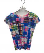 PLEATS PLEASE ISSEY MIYAKEプリーツプリーズ イッセイミヤケ）の古着「プリーツカットソー」｜マルチカラー