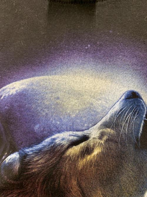 ROCKEAGLE（ロックイーグル）ROCKEAGLE (ロックイーグル) プリントTシャツ ブラック サイズ:Lの古着・服飾アイテム