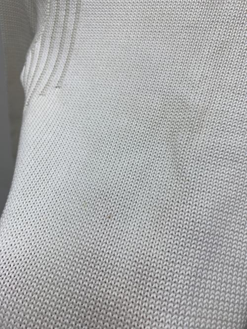 Salvatore Ferragamo（サルヴァトーレ フェラガモ）Salvatore Ferragamo (サルヴァトーレ フェラガモ) ニット ホワイト サイズ:Lの古着・服飾アイテム