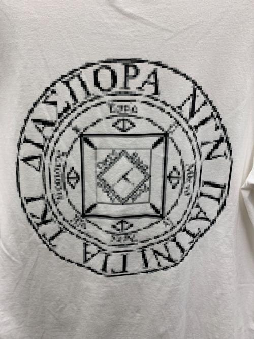 Diaspora Skateboards（ディアスポラスケートボードズ）Diaspora Skateboards (ディアスポラスケートボードズ) Tシャツ ホワイト サイズ:Mの古着・服飾アイテム