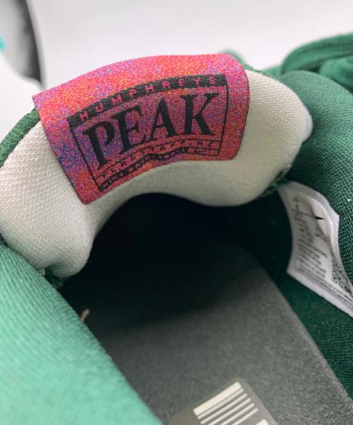 NIKE（ナイキ）NIKE (ナイキ) BOOK 1 EP 'FLAG STAFF' グリーン サイズ:26の古着・服飾アイテム