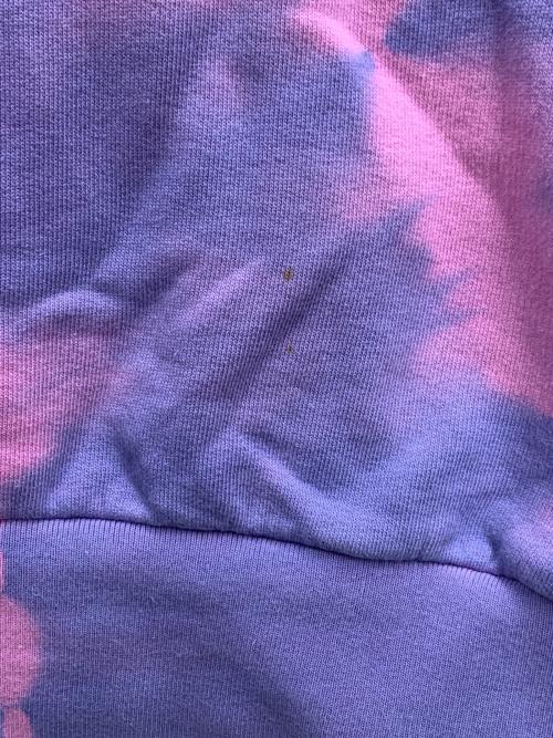 ARIES（アリーズ）ARIES (アリーズ) スウェット パープル サイズ:XXLの古着・服飾アイテム