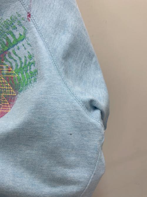 DIESEL FOLDED（ディーゼル）DIESEL FOLDED (ディーゼル) カットソー スカイブルー サイズ:Lの古着・服飾アイテム