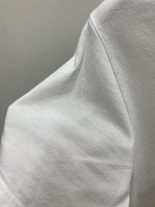 stussy（ステューシー）stussy (ステューシー) 半袖カットソー ホワイト サイズ:Mの古着・服飾アイテム