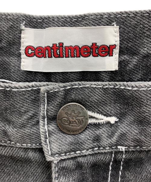 centimeter（センチメーター）centimeter (センチメーター) ペインターパンツ グレー サイズ:Lの古着・服飾アイテム