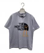 THE NORTH FACEザ ノース フェイス）の古着「Tシャツ」｜グレー