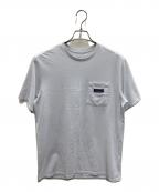 Patagoniaパタゴニア）の古着「半袖Tシャツ」｜スカイブルー