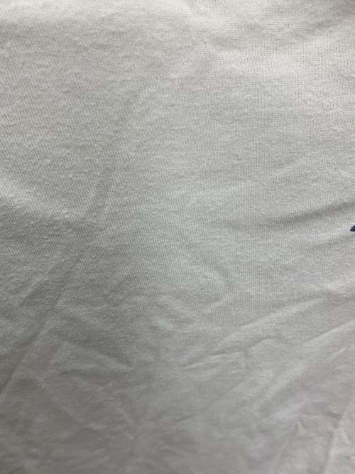 stussy（ステューシー）stussy (ステューシー) Tシャツ ホワイト サイズ:XLの古着・服飾アイテム