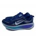 NIKE (ナイキ) ランニングシューズ ブルー サイズ:27.5：6000円