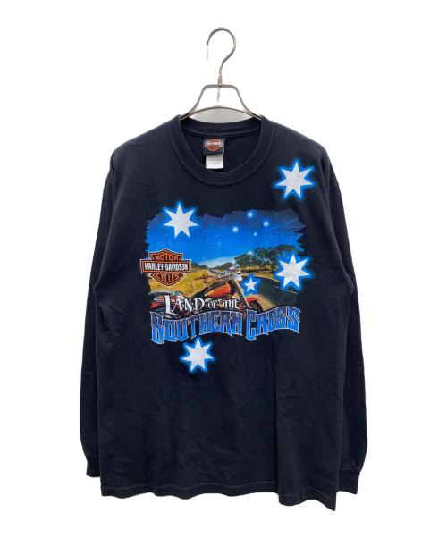 HARLEY-DAVIDSON（ハーレーダビッドソン）HARLEY-DAVIDSON (ハーレーダビッドソン) Hanes (ヘインズ) 長袖Tシャツ ブラック サイズ:Lの古着・服飾アイテム