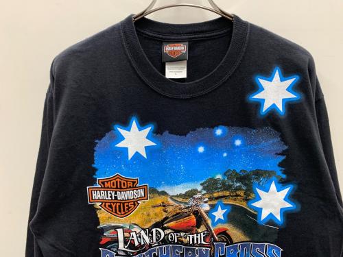 HARLEY-DAVIDSON（ハーレーダビッドソン）HARLEY-DAVIDSON (ハーレーダビッドソン) Hanes (ヘインズ) 長袖Tシャツ ブラック サイズ:Lの古着・服飾アイテム