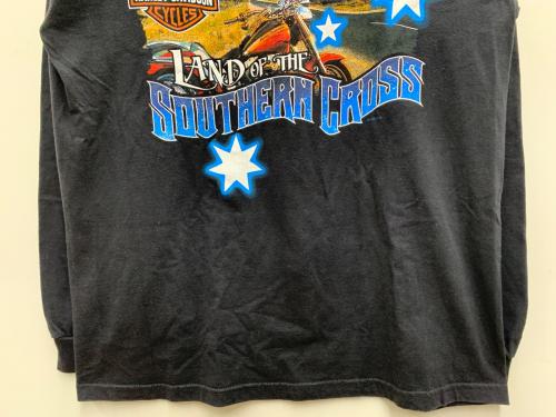 HARLEY-DAVIDSON（ハーレーダビッドソン）HARLEY-DAVIDSON (ハーレーダビッドソン) Hanes (ヘインズ) 長袖Tシャツ ブラック サイズ:Lの古着・服飾アイテム