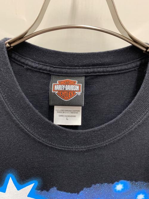 HARLEY-DAVIDSON（ハーレーダビッドソン）HARLEY-DAVIDSON (ハーレーダビッドソン) Hanes (ヘインズ) 長袖Tシャツ ブラック サイズ:Lの古着・服飾アイテム