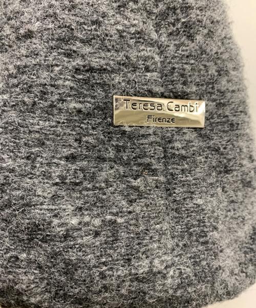 Teresa Cambi（テレサカンビ）Teresa Cambi (テレサカンビ) 2WAYバッグ グレーの古着・服飾アイテム