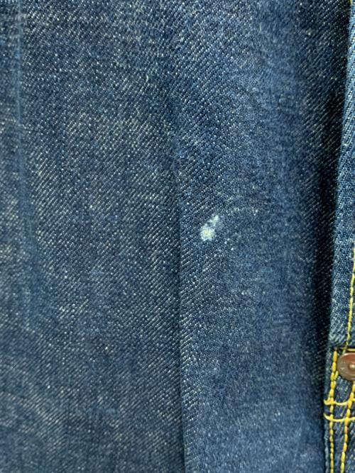 EVISU（エヴィス）EVISU (エヴィス) デニムパンツ ブルー サイズ:34の古着・服飾アイテム