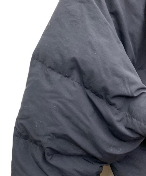 THE NORTH FACE（ザ ノース フェイス）THE NORTH FACE (ザ ノース フェイス) ダウンジャケット ブラック サイズ:Lの古着・服飾アイテム