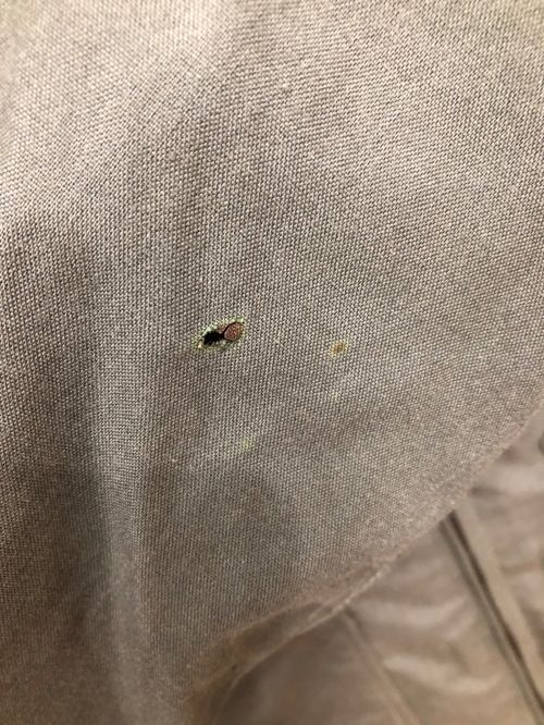 US ARMY（ユーエスアーミー）US ARMY (ユーエスアーミー) フライトスーツ グリーン サイズ:40Rの古着・服飾アイテム