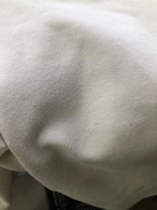 GUCCI（グッチ）GUCCI (グッチ) サイドラインショートパンツ／SIDE LINE SHORT PANTS ベージュ サイズ:48の古着・服飾アイテム