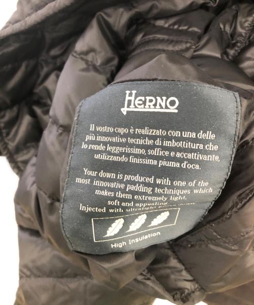 HERNO（ヘルノ）HERNO (ヘルノ) リバーシブルダウンコート／REVERSIBLE DOWN COAT ブラック サイズ:SIZE 50の古着・服飾アイテム
