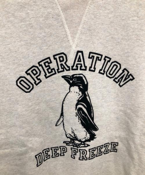 WAREHOUSE（ウエアハウス）WAREHOUSE (ウエアハウス) LOT.401 DEEP FREEZE SET IN SLEEVE SWEAT SHIRT／ロット401 ディープフリーズ セットインスリーブ スウェットシャツ ベージュ サイズ:42の古着・服飾アイテム