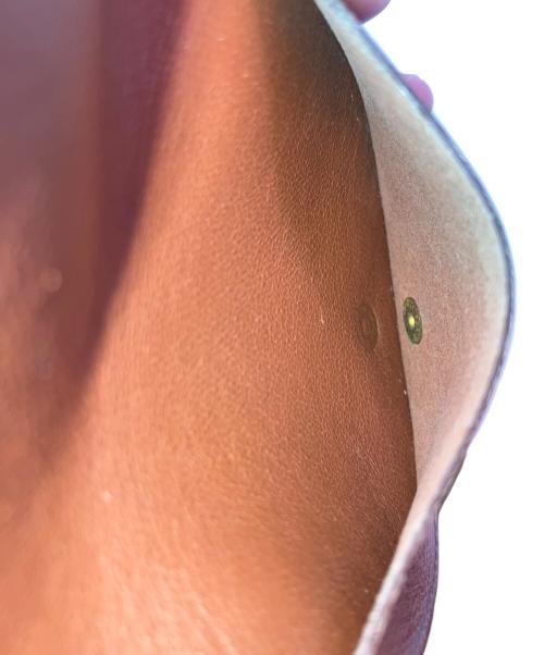 LOUIS VUITTON（ルイ ヴィトン）LOUIS VUITTON (ルイ ヴィトン) 小銭入れの古着・服飾アイテム