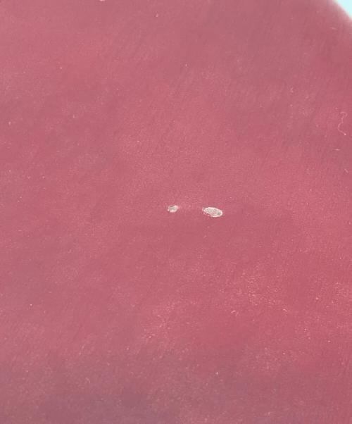 Cartier（カルティエ）Cartier (カルティエ) トートバッグ ボルドーの古着・服飾アイテム