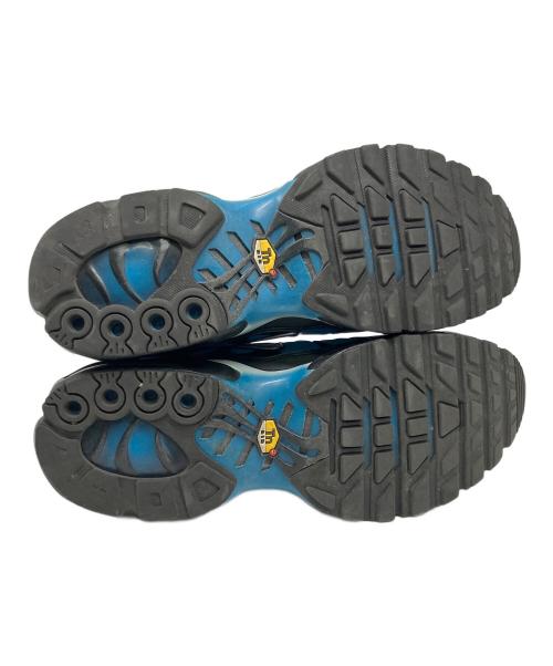 NIKE（ナイキ）NIKE (ナイキ) Air Max Plus Shade of Blue ブルー×ブラック サイズ:27cmの古着・服飾アイテム