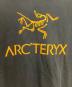 ARC'TERYXの古着・服飾アイテム：6000円