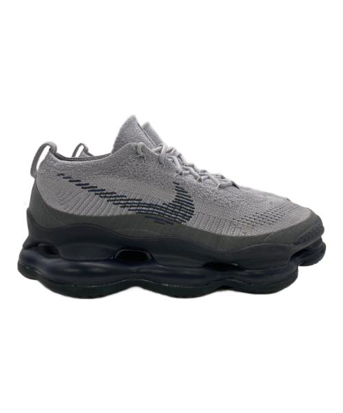 NIKE（ナイキ）NIKE (ナイキ) ローカットスニーカー グレー×ブラック サイズ:28cmの古着・服飾アイテム