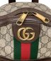 GUCCI (グッチ) オフィディアバックパック ブラウン：63000円