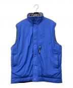 Patagoniaパタゴニア）の古着「中綿ベスト」｜ブルー