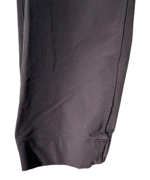 Patagonia（パタゴニア）Patagonia (パタゴニア) スカイライントラベラーパンツ グレー サイズ:Lの古着・服飾アイテム