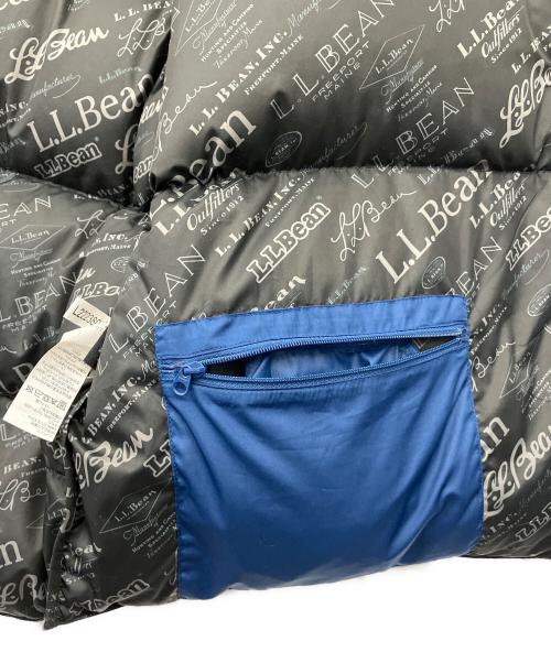 L.L.Bean（エルエルビーン）L.L.Bean (エルエルビーン) Bean's Trail Model Down Vest'82 ブルー サイズ:Mの古着・服飾アイテム