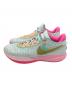 NIKE (ナイキ) LEBRON 20 EP マルチカラー サイズ:27cm：12000円
