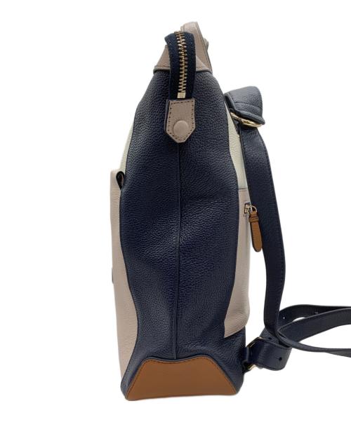 COLE HAAN（コールハーン）COLE HAAN (コールハーン) 2WAYバッグの古着・服飾アイテム