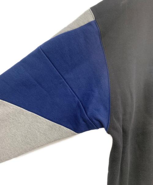 Champion（チャンピオン）Champion (チャンピオン) ANREALAGE (アンリアレイジ) クルーネックスウェット ブラック×ブルー サイズ:Mの古着・服飾アイテム