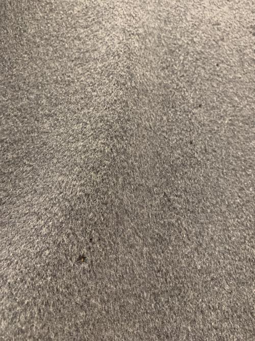 MaxMara（マックスマーラ）MaxMara (マックスマーラ) コート グレー サイズ:38の古着・服飾アイテム