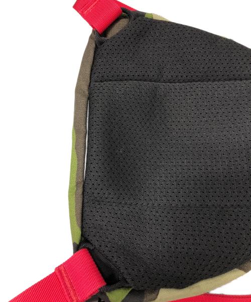 ARC'TERYX（アークテリクス）ARC'TERYX (アークテリクス) BEAMS (ビームス) SMU-MAKA 1 WAISTPACK　ウエストバッグ グリーン×ピンクの古着・服飾アイテム